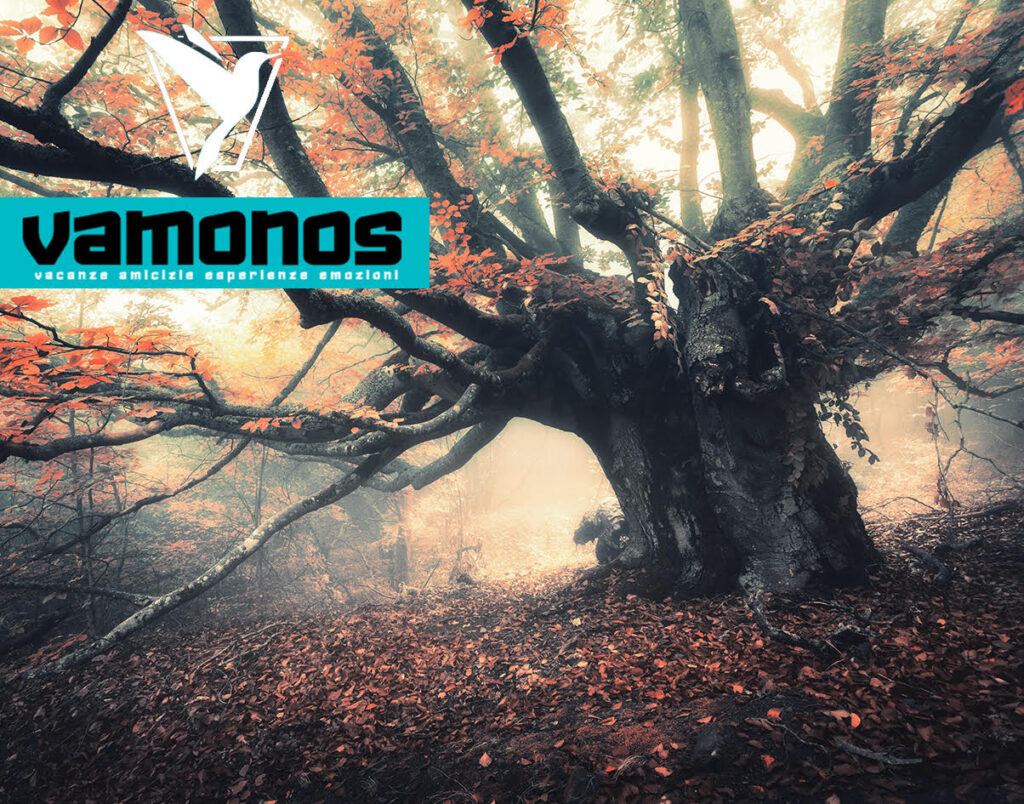 BOOM DI VIAGGI IN AUTUNNO, ECCO COSA CERCANO GLI ITALIANI